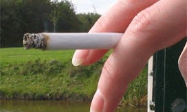Tabak: miljardenclaim Canada toegekend