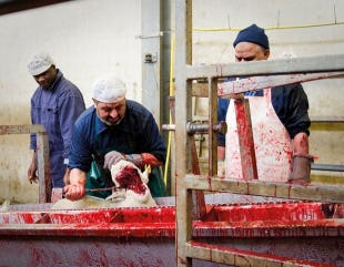 Winkels willen namen verkopers verdacht vlees