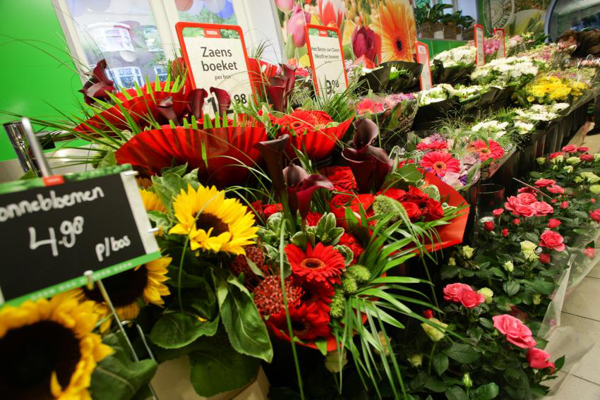 Diederik van der Laan