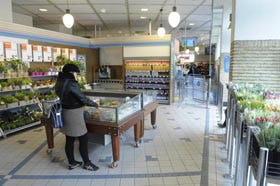 Fotopersburo Dijkstra