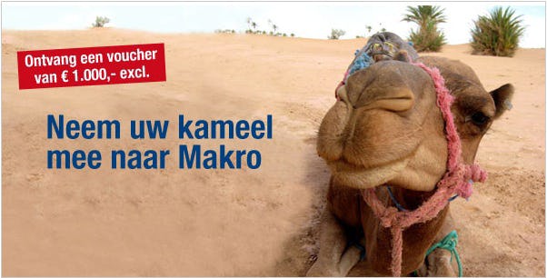 Dierenbescherming tegen kamelenactie Makro
