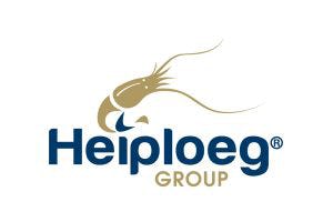 Heiploeg wil Belgische dochter verkopen