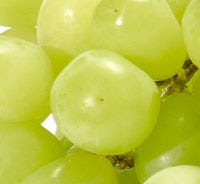 Druiven Dirk 'gevaar voor gezondheid