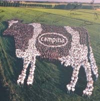 Campina verwacht nieuwe melkschaarste