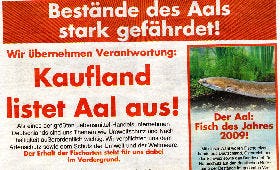 Meer duurzame vis in Duitse supers