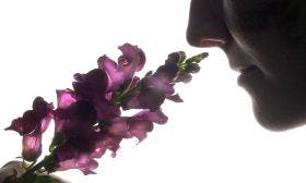 Waitrose plakt geursticker op bloemen