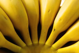 Miljoenenboete wegens bananenkartel