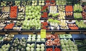 Nederland exporteert meeste groente