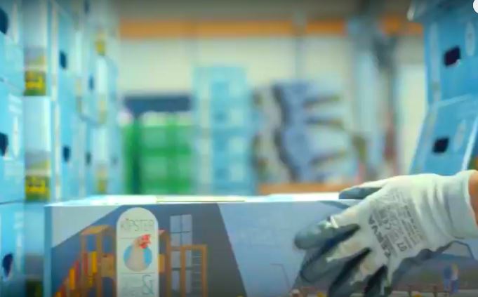 Still uit video Kipster