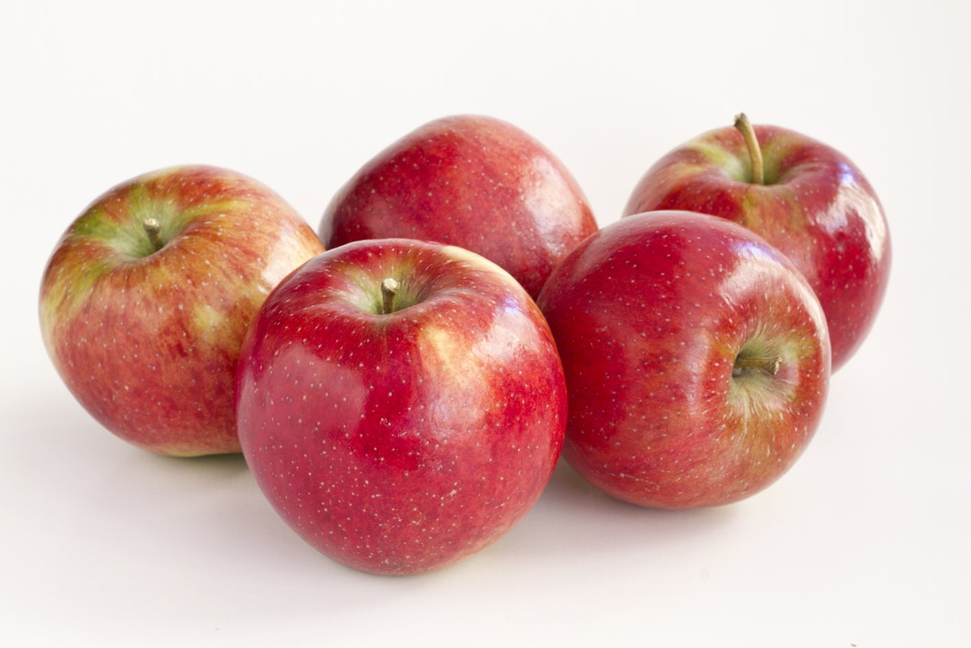 Foto: Vogelaar Vredehof