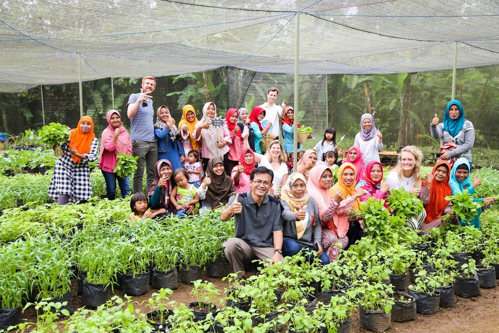 Nestlé stelt met Grown Respectfully duurzame toekomst van koffie veilig