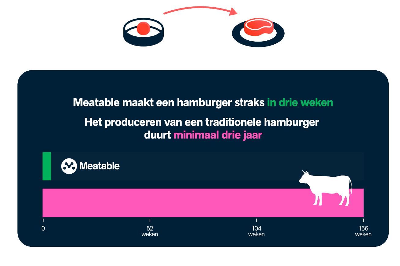 Meatable belooft binnen drie jaar een hamburger van kweekvlees op de markt te brengen. 