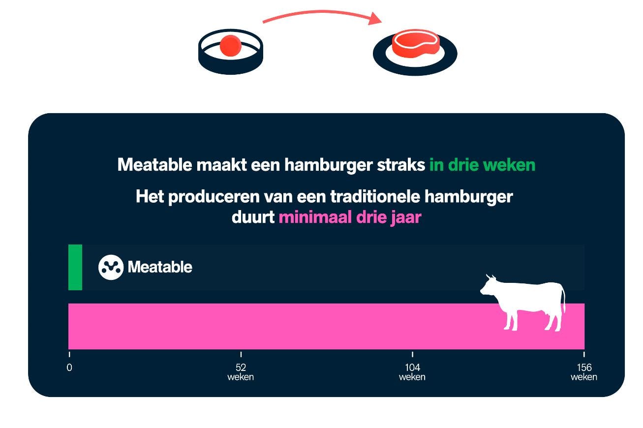 Meatable belooft binnen drie jaar een hamburger van kweekvlees op de markt te brengen.