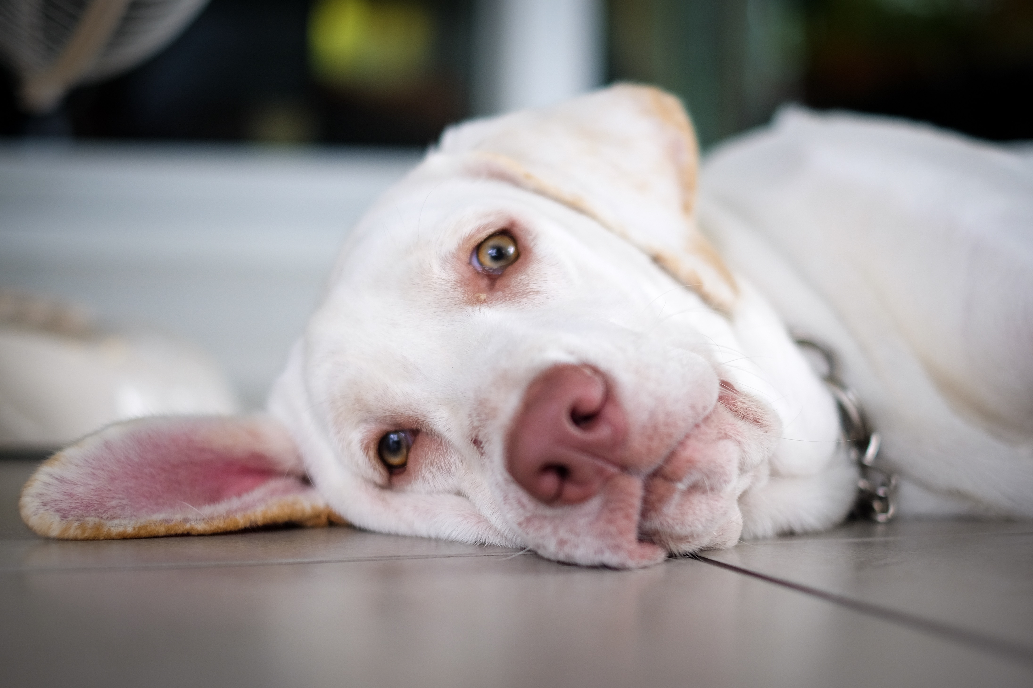 Foto: Shutterstock
