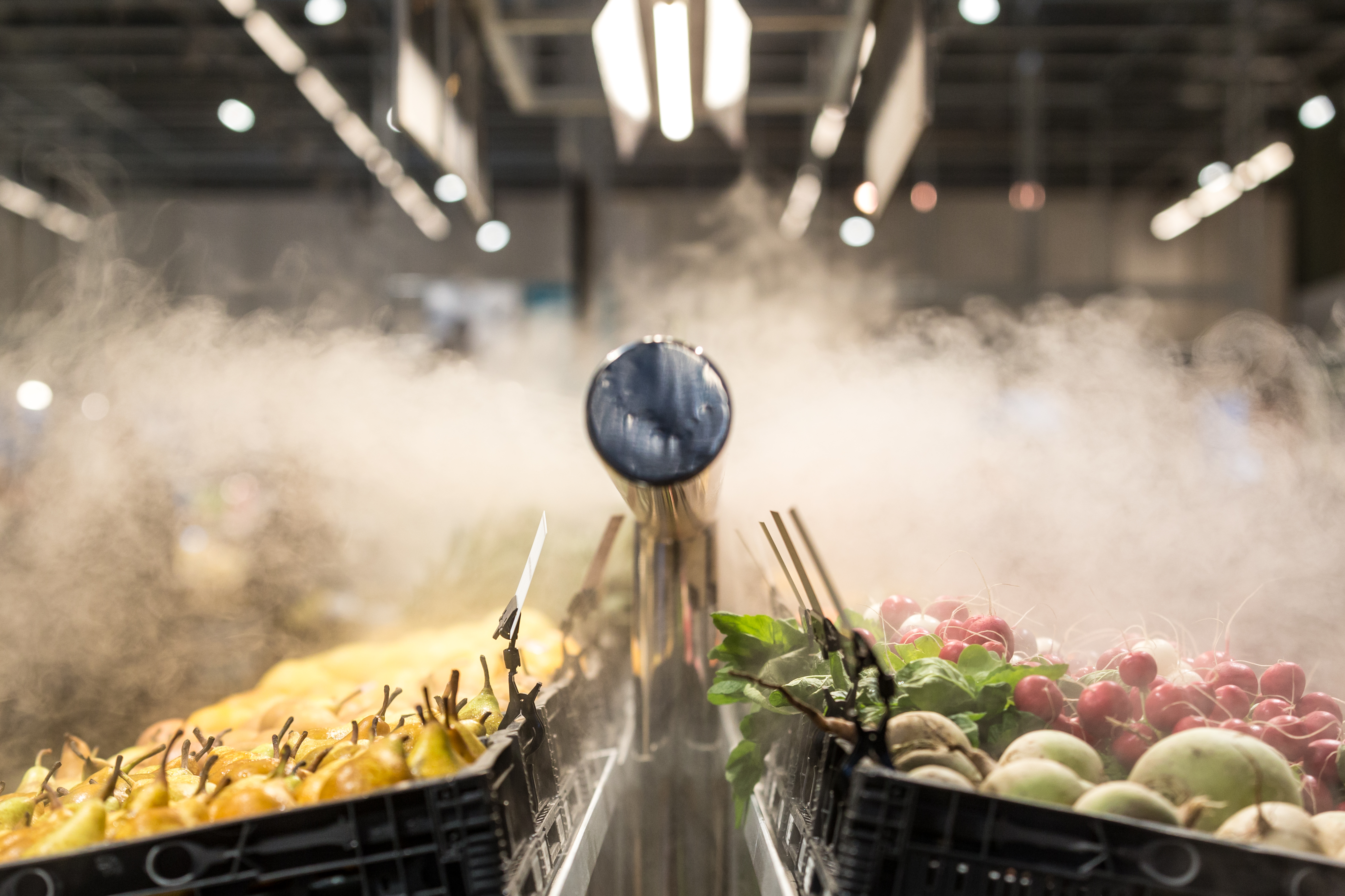 Foto: Sebastiaan Rozendaal