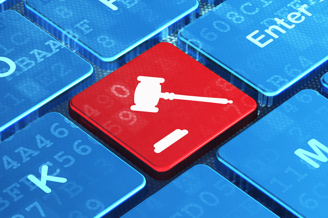 Distrifood zoekt een performancemarketeer