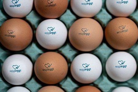 Respeggt-eieren.