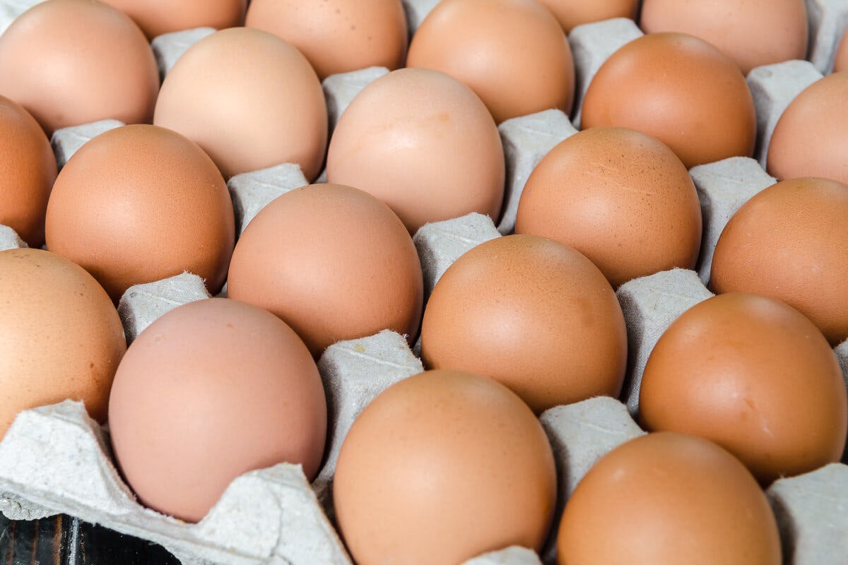 Kust achtergrond Recyclen IRI: 'Prijs eieren in super stijgt sneller dan gemiddeld mandje  boodschappen'