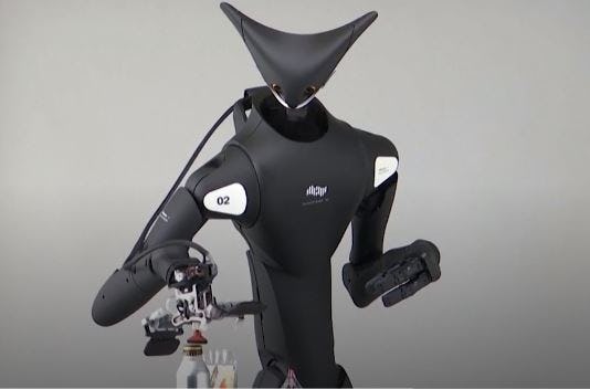 Kangaroo Robot. Screenshot video