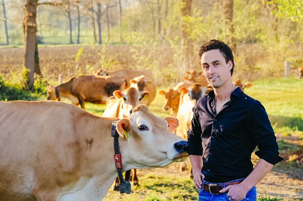Melk van Boer Kees bij AH in Oost-Nederland