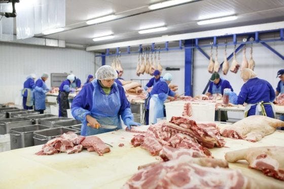 Vleesverwerker dicht na 41 coronagevallen