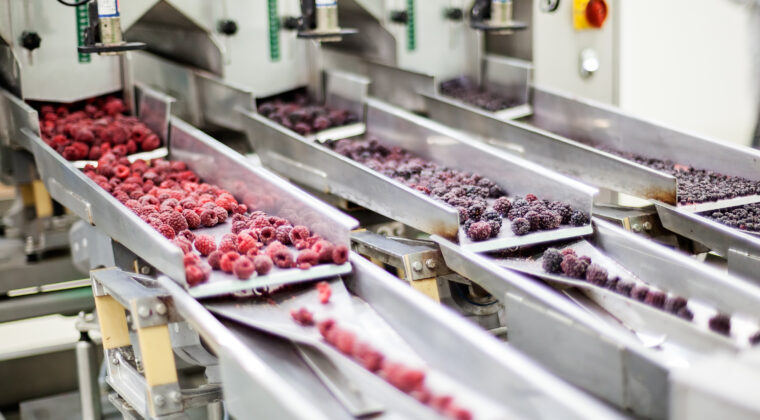 60 procent van de voedselverwerkende bedrijven ziet in het eerste half jaar van 2020 zijn omzet dalen door de coronapandemie. 