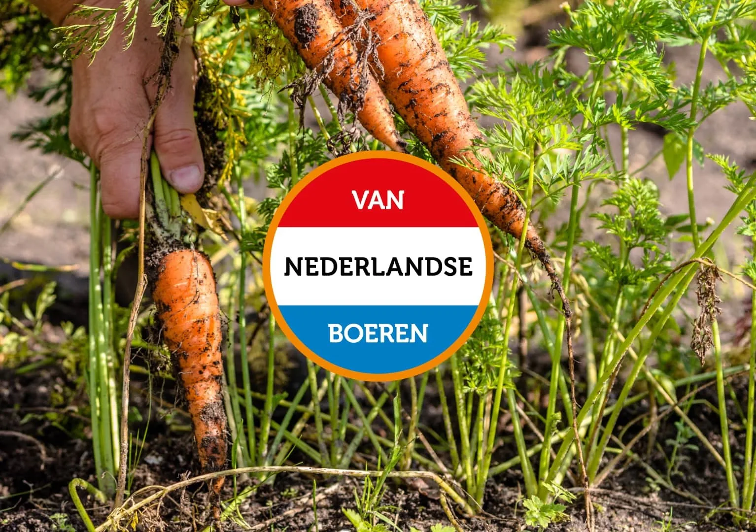 Coop voorziet Hollandse producten van nieuw logo