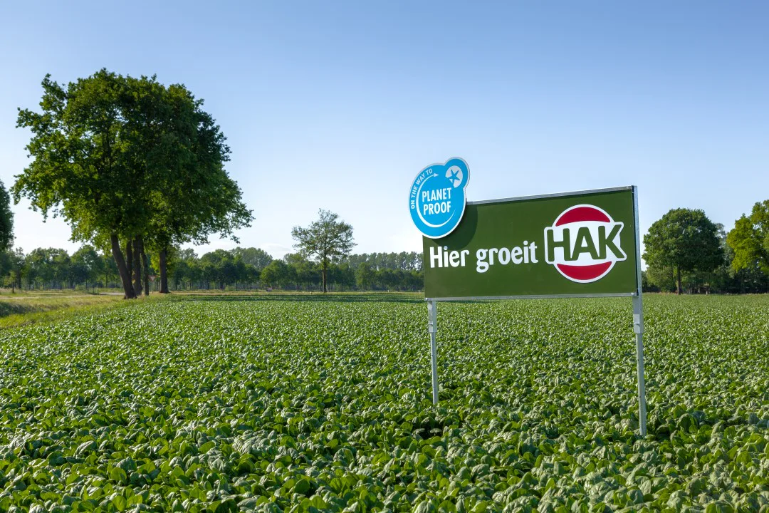 'NPM Capital wil groentebedrijf Hak verkopen'
