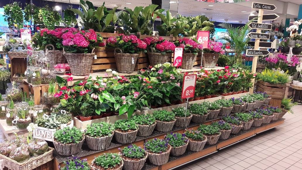 Na Deen-deal: Dekamarkt start eigen bloemencentrale