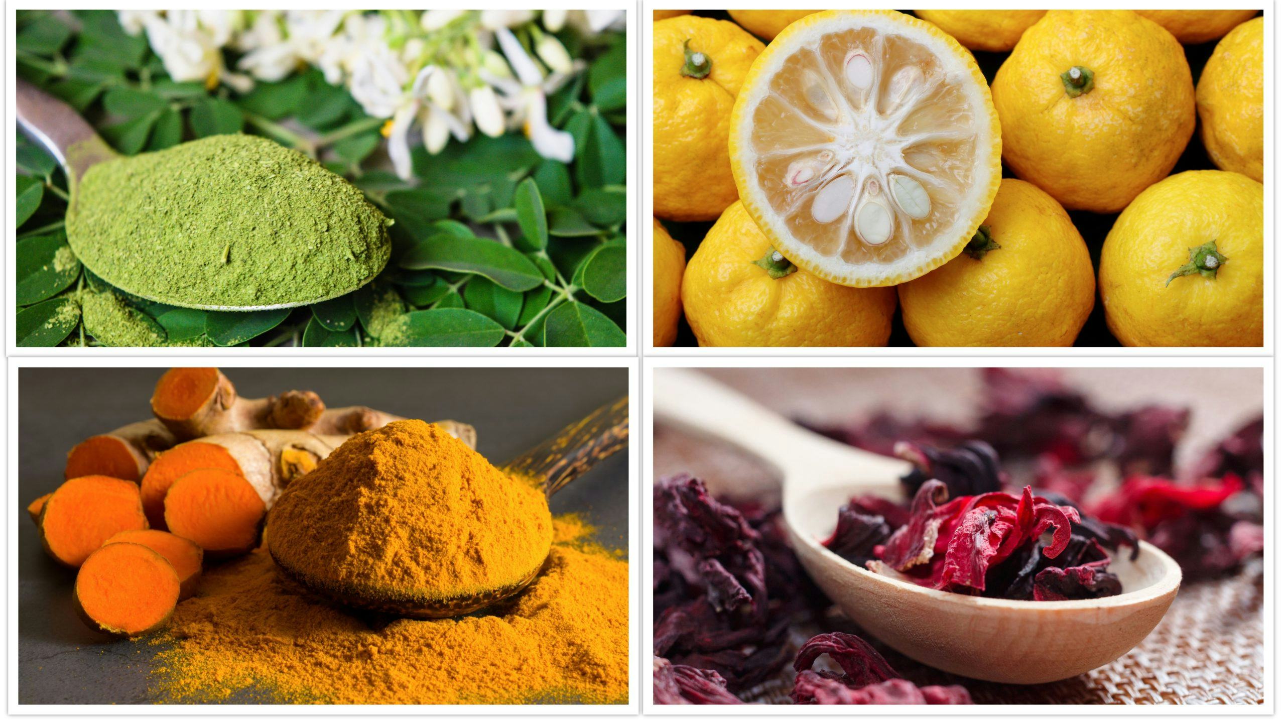 Foto's: Shutterstock