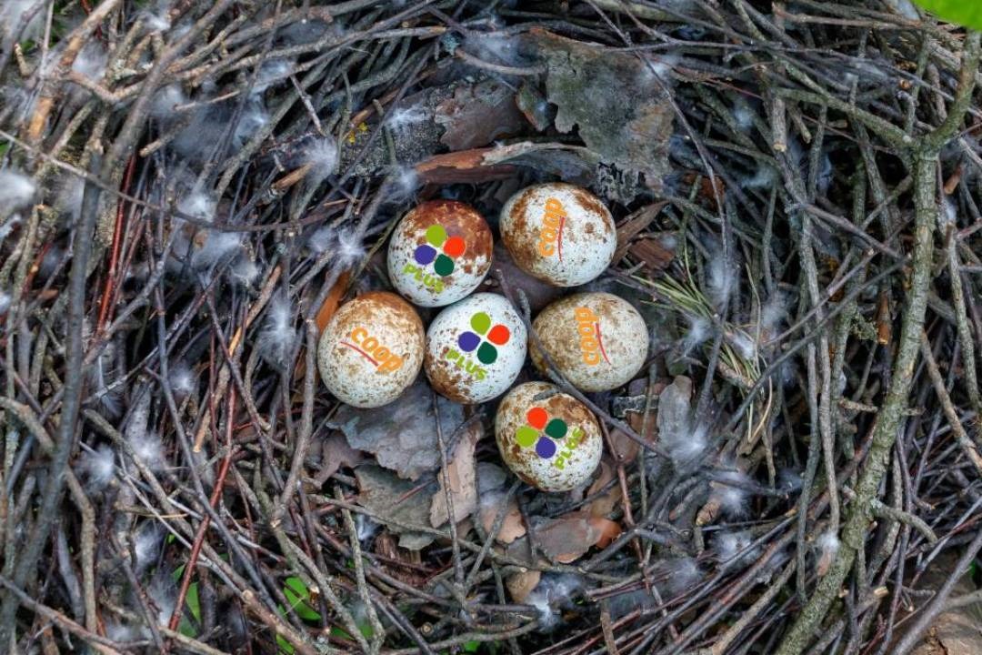 Foto: Shutterstock/bewerking: Distrifood