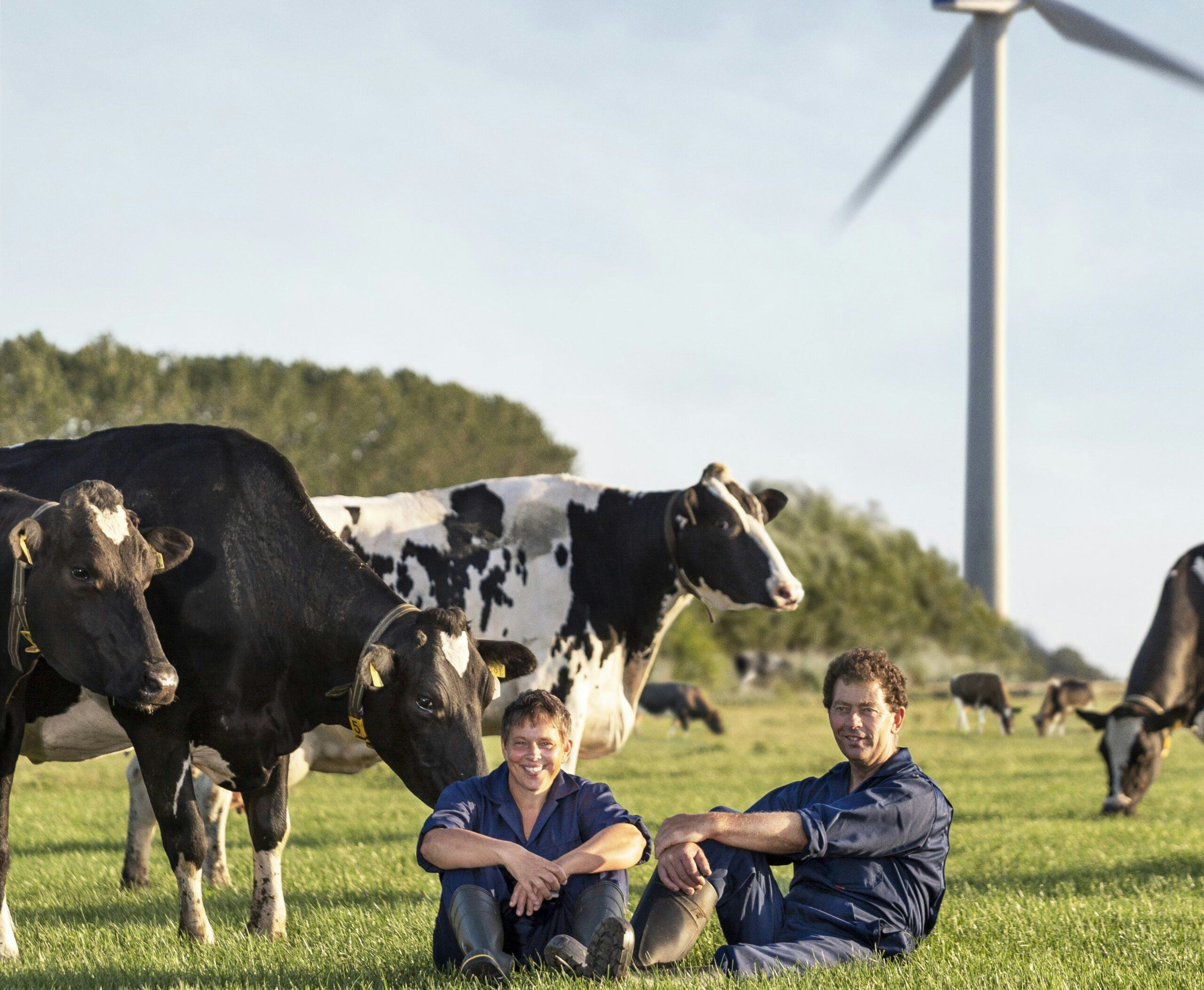 Boer Groen uit Berkhout levert naast melk ook groene stroom van zijn windmolen aan CONO. 
