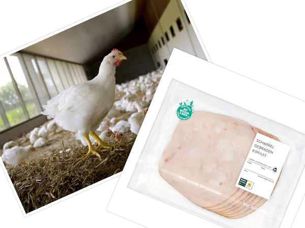 AH gaat over op uitsluitend 1 ster Beter Leven voor kip