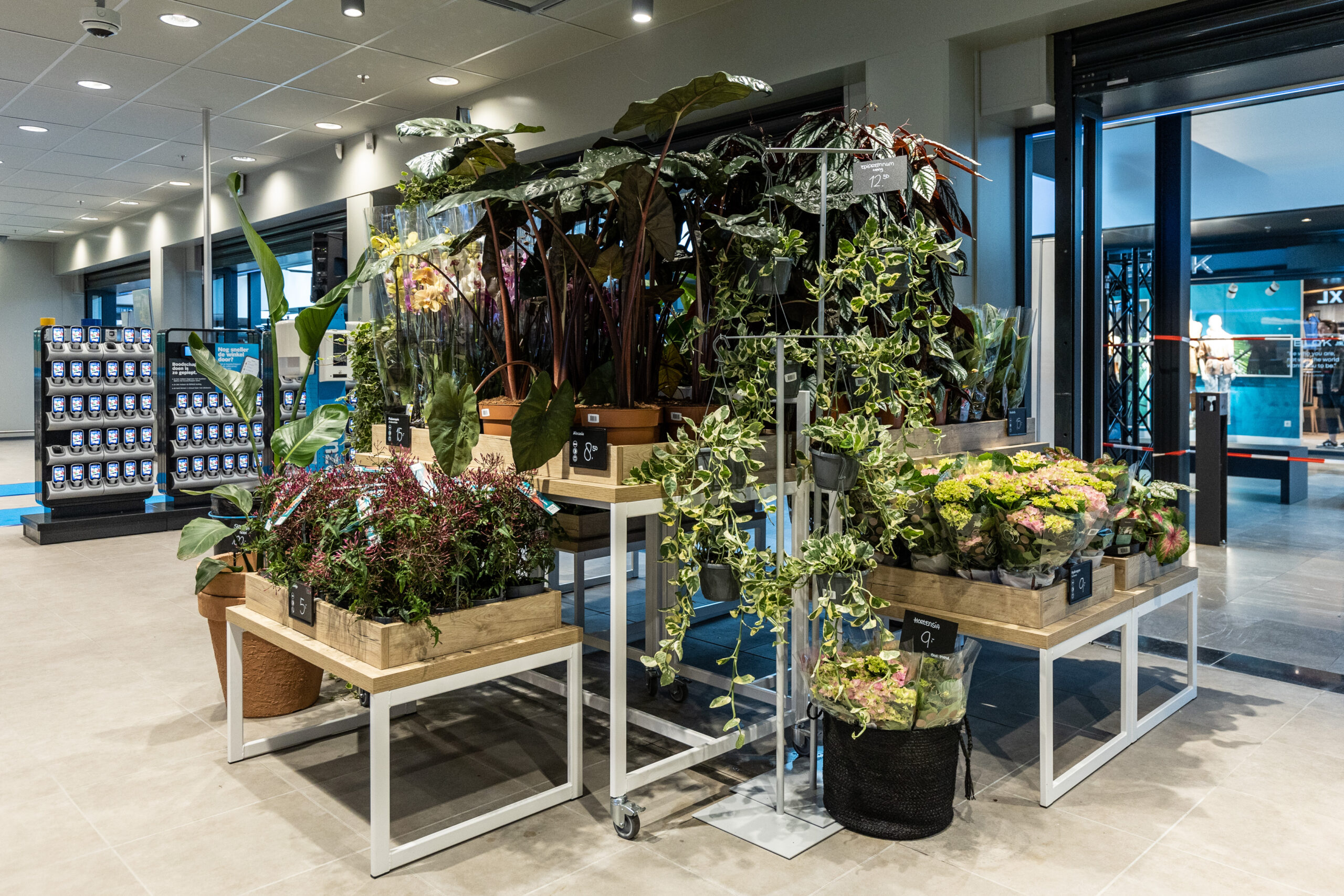 Foto: Diederik Van Der Laan / Dutch Photo Agency