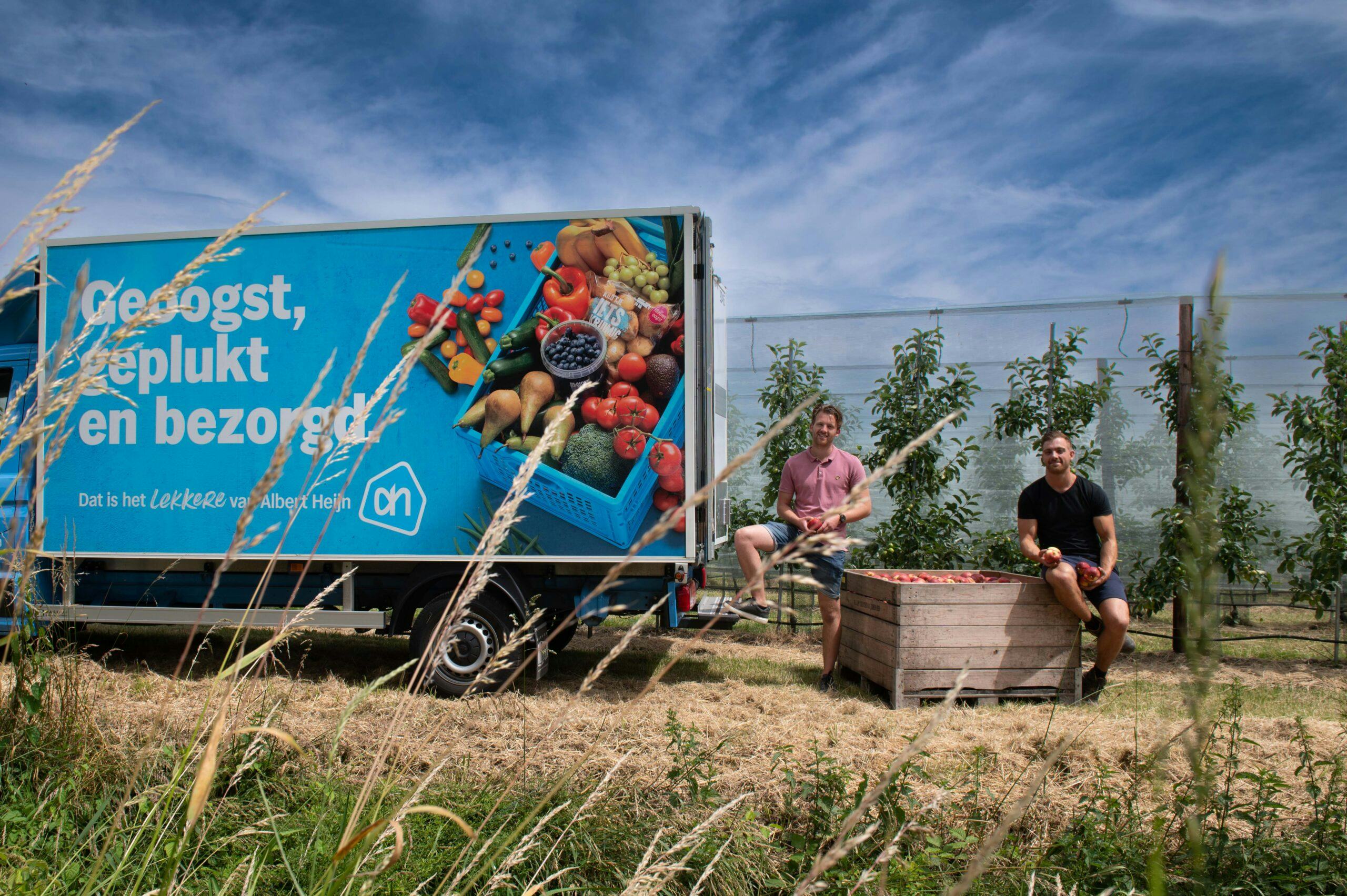 Albert Heijn heeft naar eigen zeggen als eerste Nederlandse keten Elstar appels uit Nederlandse oogst in het schap liggen. Foto: AH