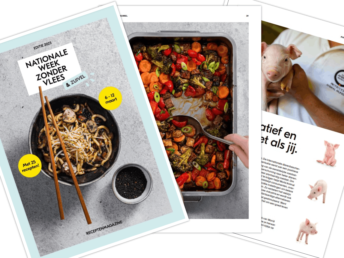 Pagina's uit het magazine rondom de Week zonder Vlees en Zuivel Collage: Distrifood