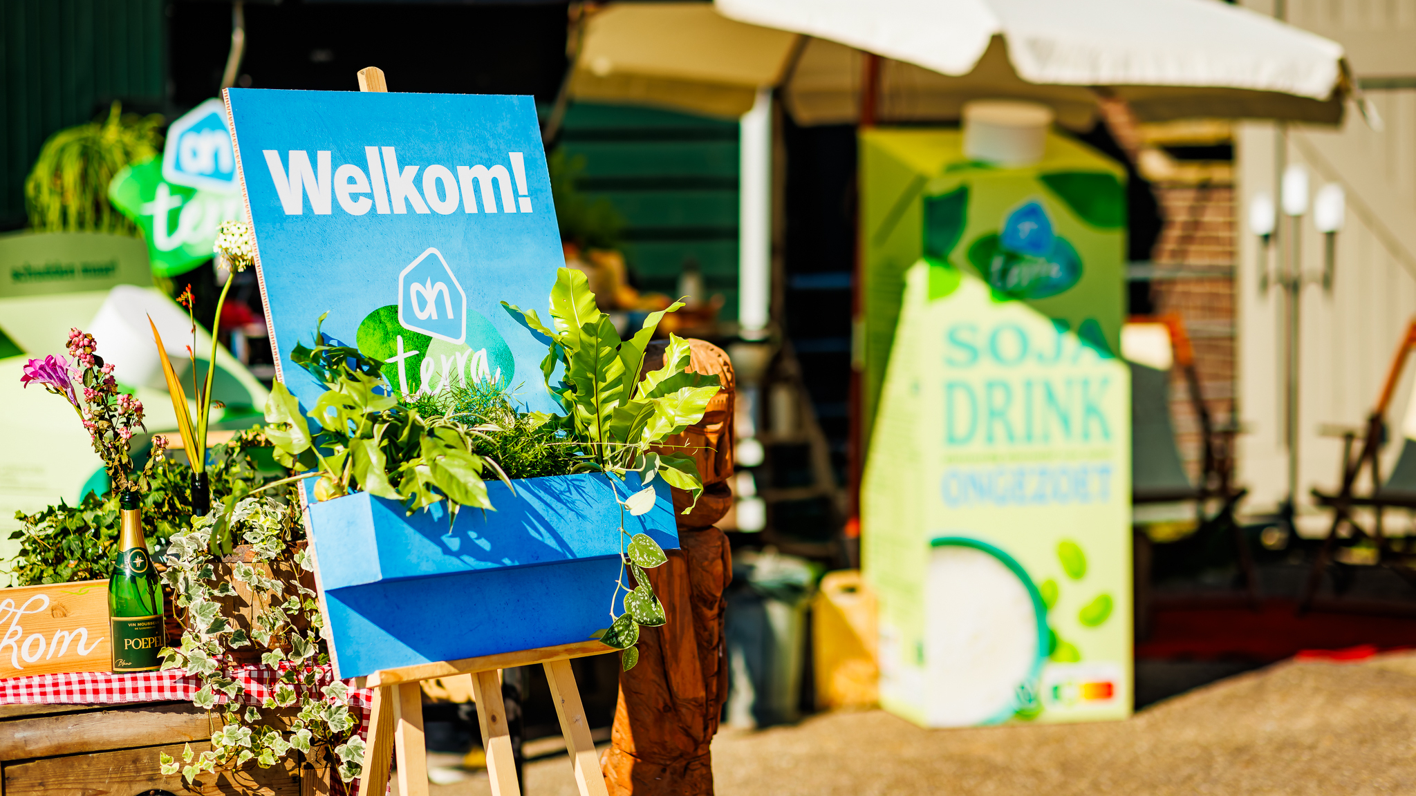 Albert Heijn Ziet Plantaardige Lijn Terra Groeien