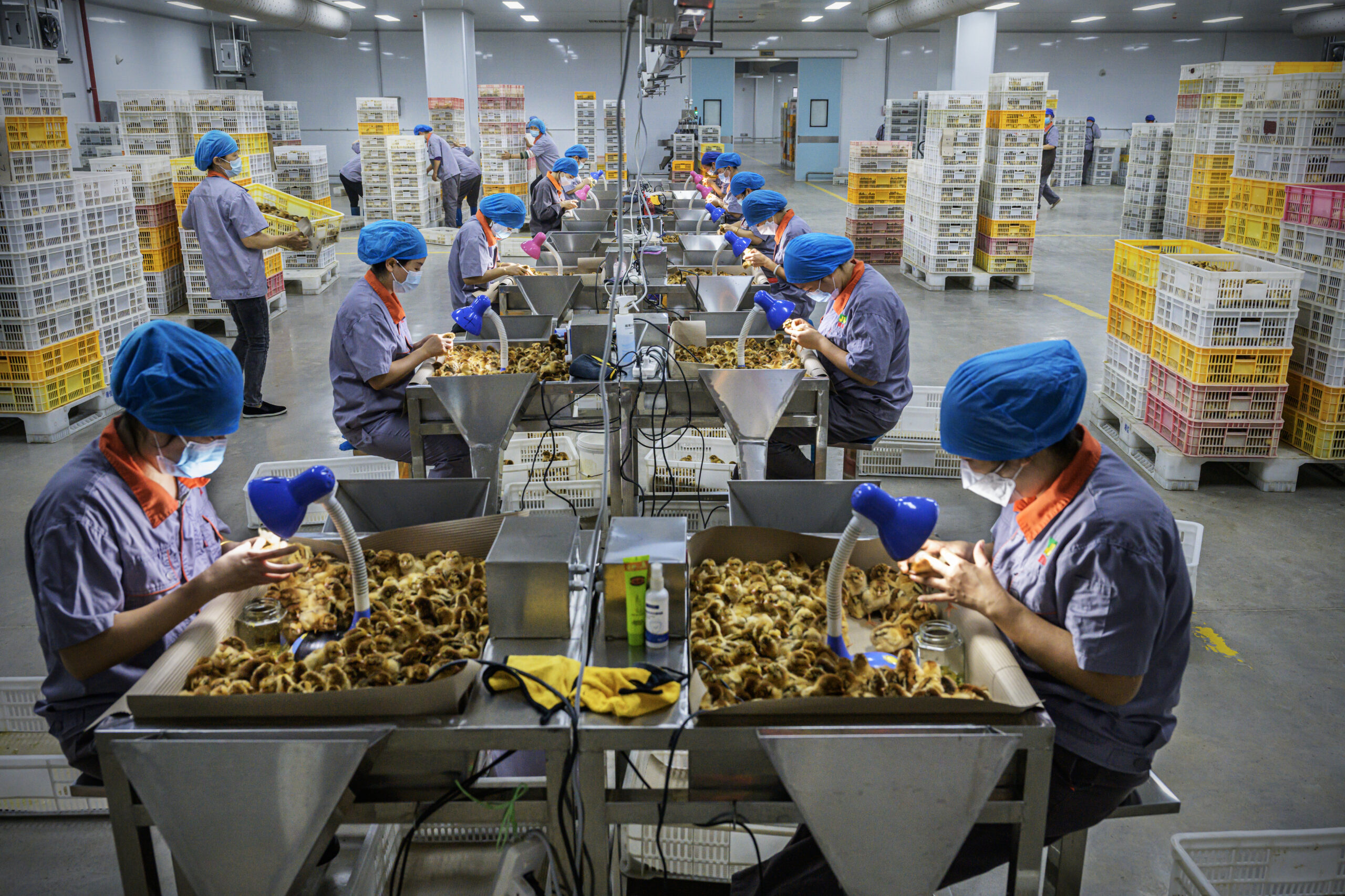 Foto: Kadir van Lohuizen