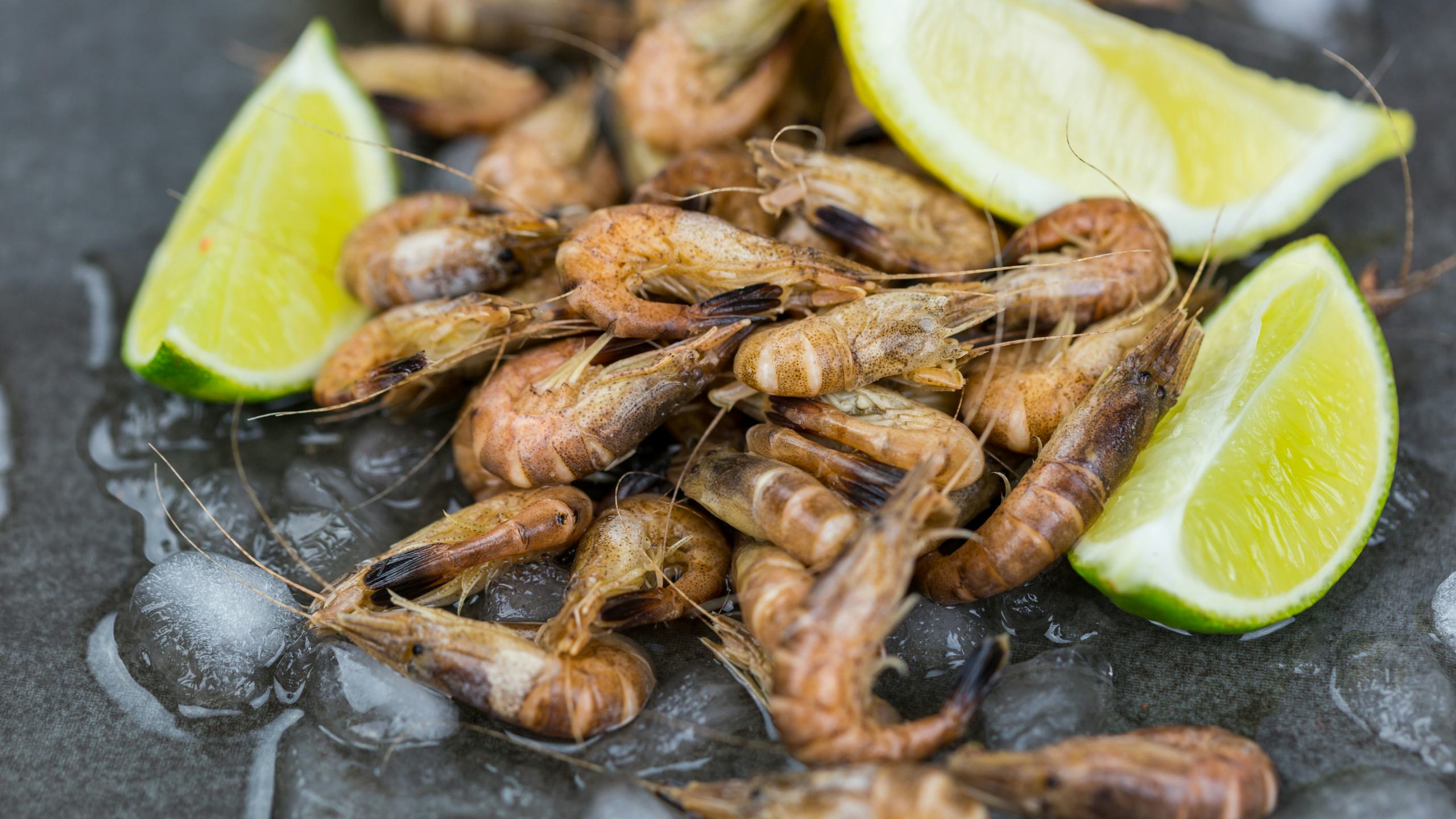 Foto: Shutterstock