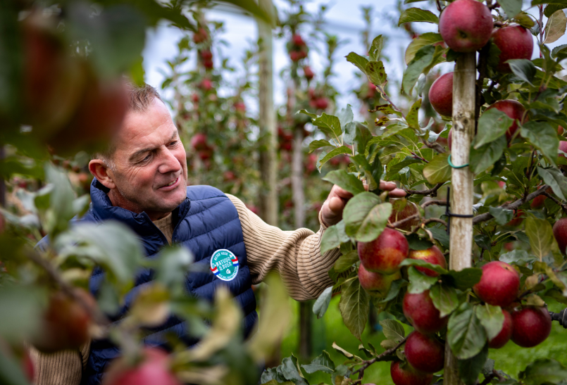 Sprank-teler Nico Knippers in een boomgaard. Foto: AH