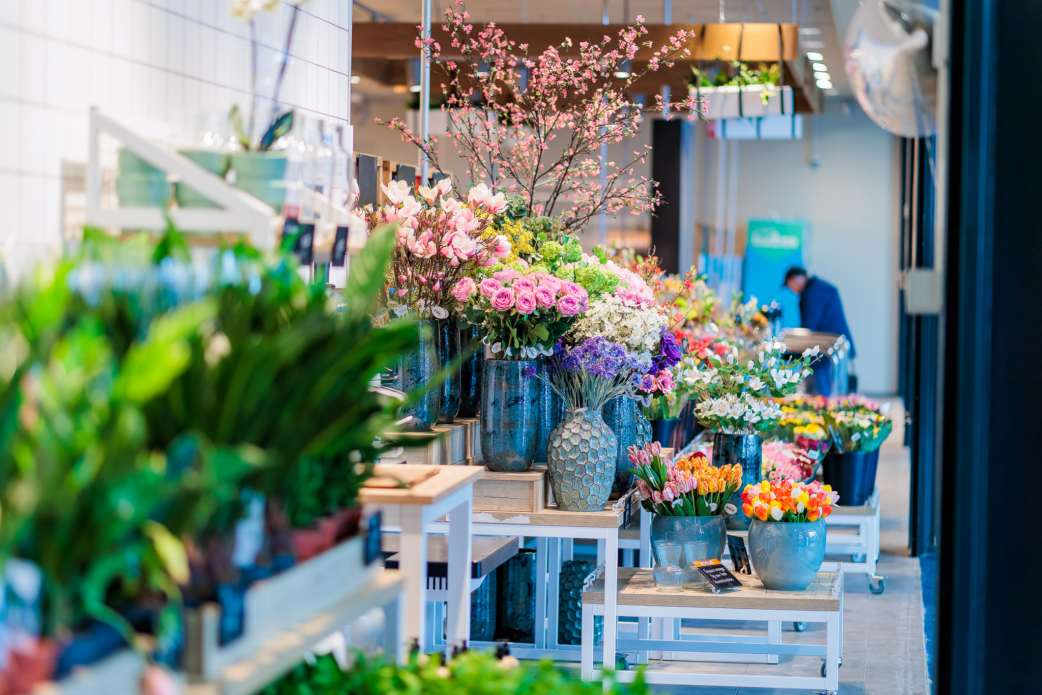 Foto: Albert Heijn