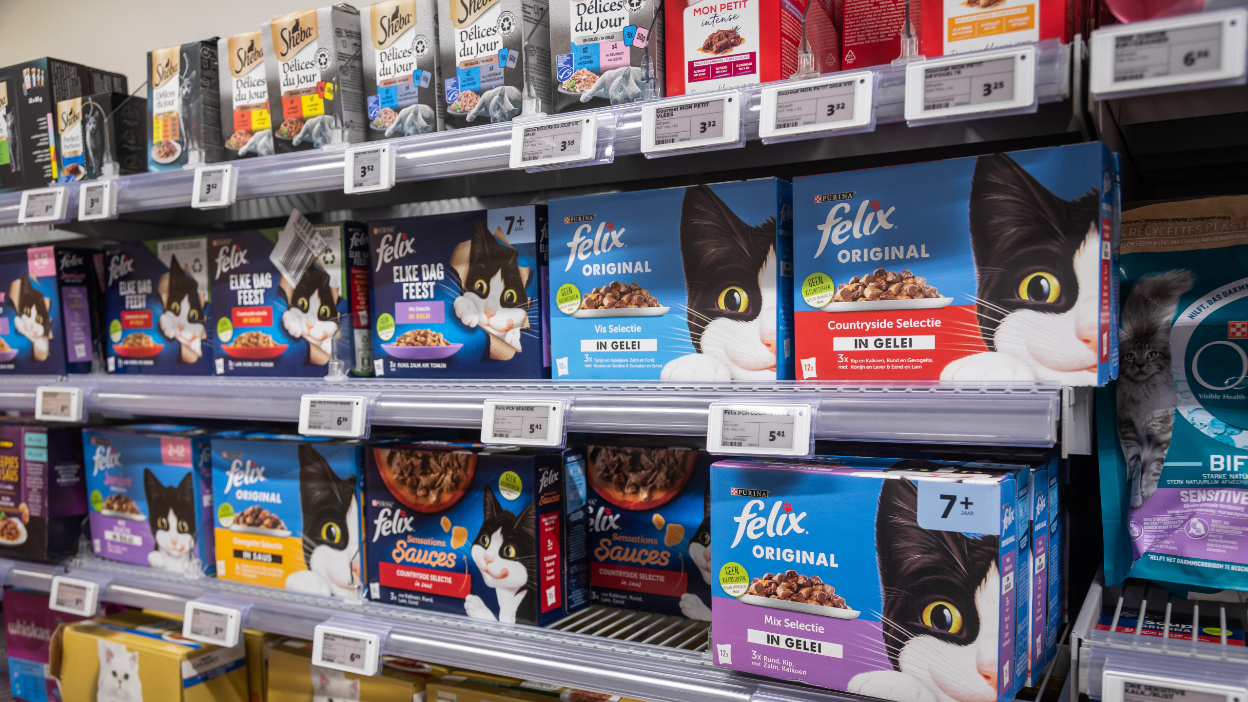 Kattenvoer in supermarkt, ter illustratie. Foto: Joris Telders