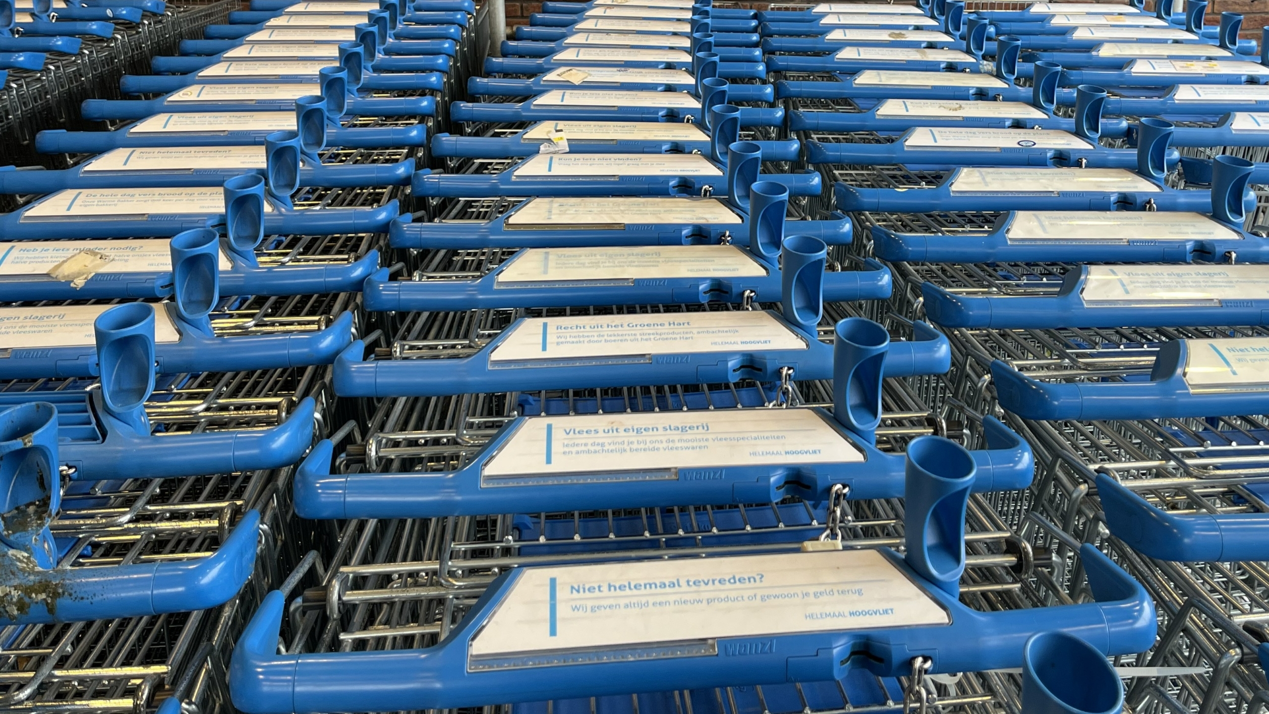 Winkelwagens bij Hoogvliet. Foto: Distrifood