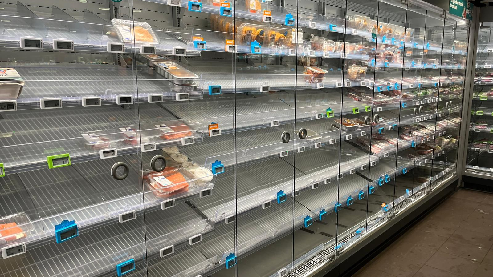 Lege schappen in een Albert Heijn. Foto: Distrifood