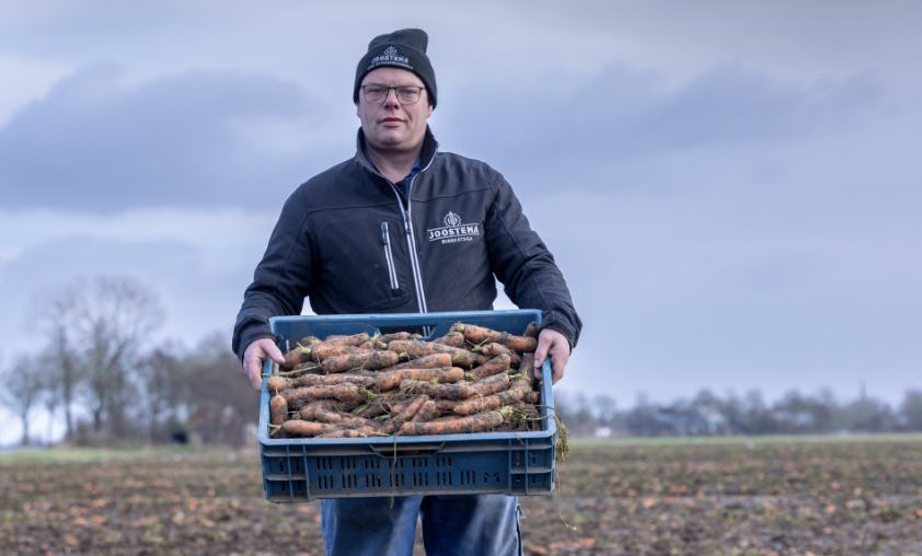 Teler Bram Joostema zat met 300.000 kilo winterpeen nadat een supermarktketen besloot ze niet af te nemen. Onder meer Kesbeke en Poiesz hielpen hem uit de brand. Foto: Poiesz
