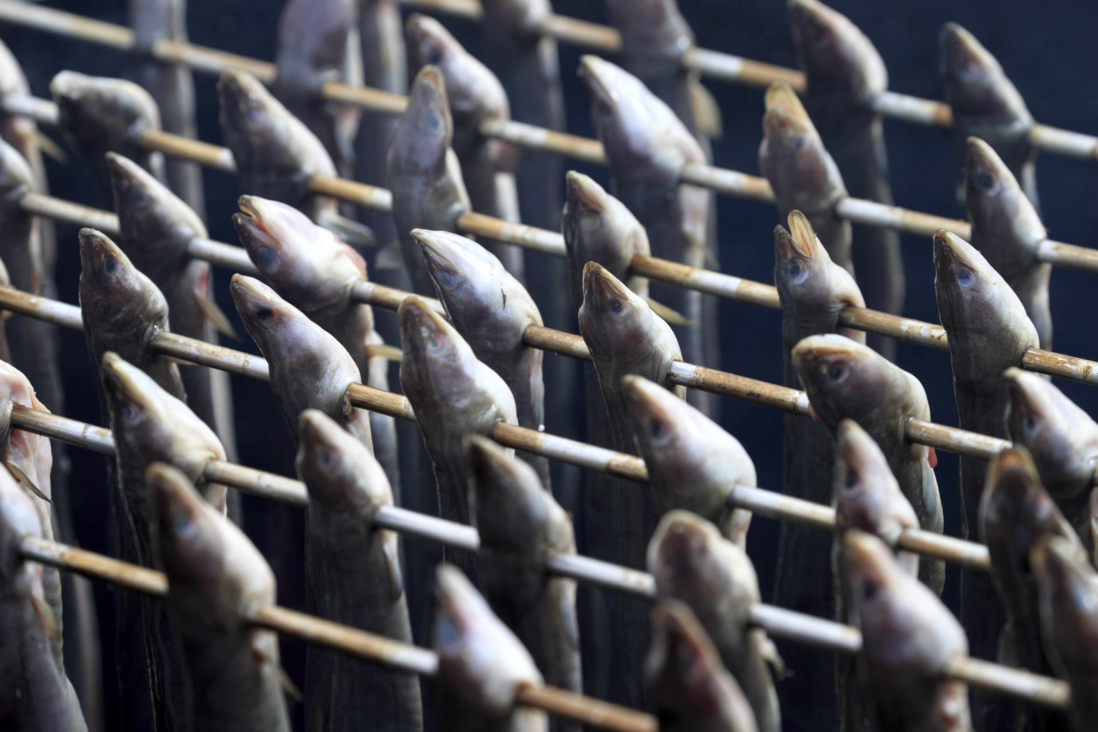 Gerookte paling, ter illustratie. Foto: Shutterstock