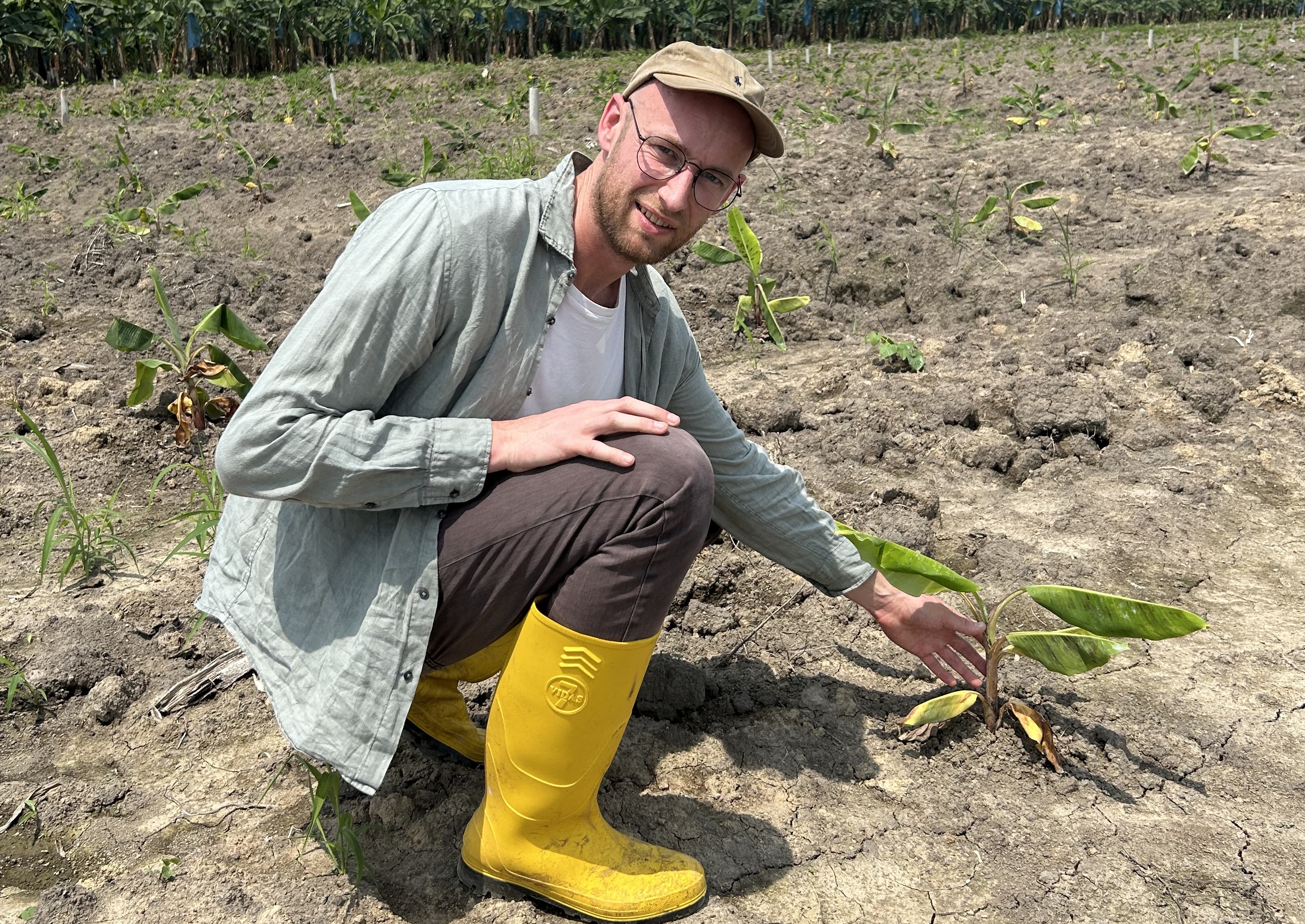 Sierd Hettema van Odin bij een bananenplant in Peru. Foto: Odin