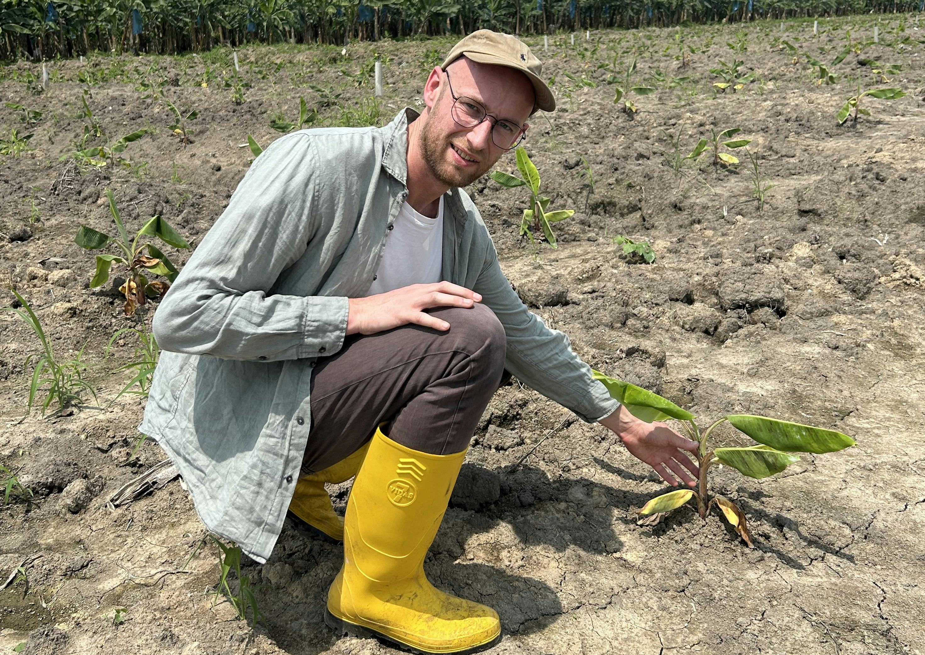 Sierd Hettema van Odin bij een bananenplant in Peru. Foto: Odin