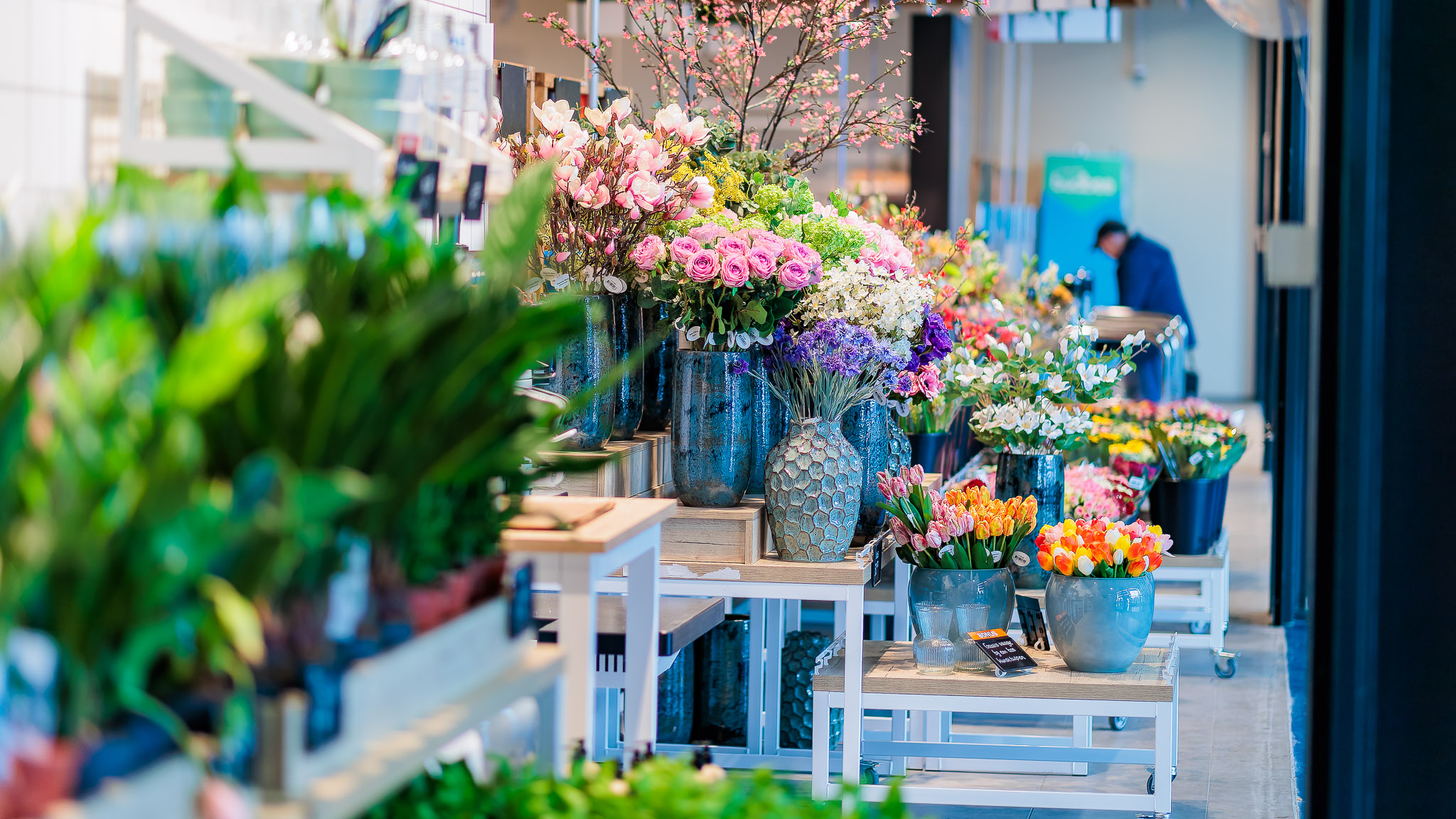 Foto: Albert Heijn