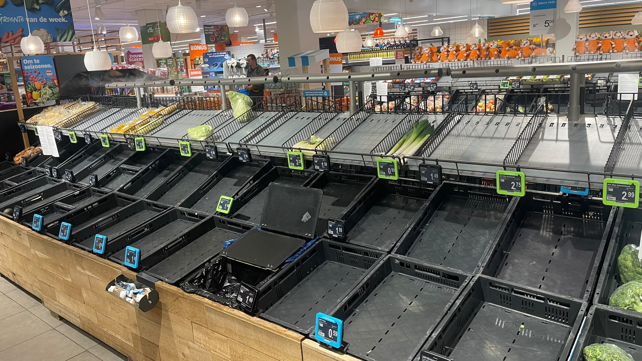 Deze Albert Heijn-supermarkt is helemaal leeg op de agf-afdeling. Foto: Distrifood